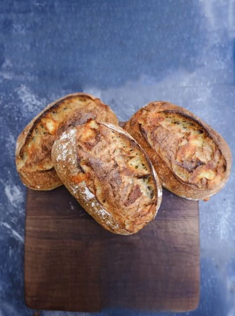 Thyme Uses, Cheese Sourdough, Whole Wheat Sourdough, Onion Bread, Rosemary And Thyme, Gouda Cheese, Rye Flour, Smoked Gouda, Dough Scraper