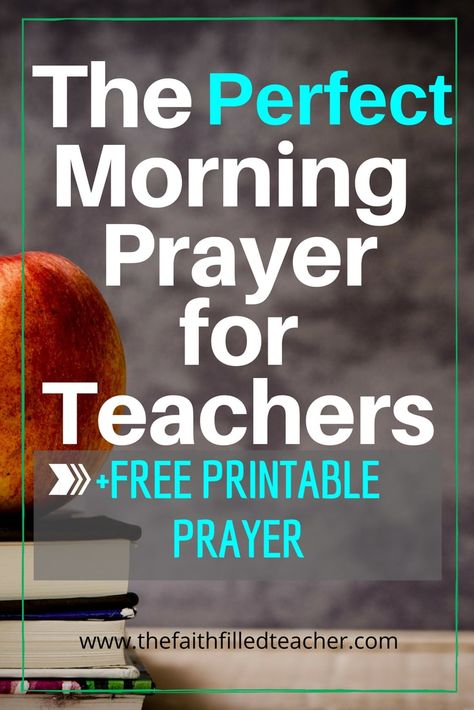 Scripture For Teachers, Prayer For Teachers, Teacher Devotions, Christian Teacher Quotes, Verses For Teachers, Teacher Encouragement Quotes, Devotional Ideas, Words For Teacher, Prayer For Students