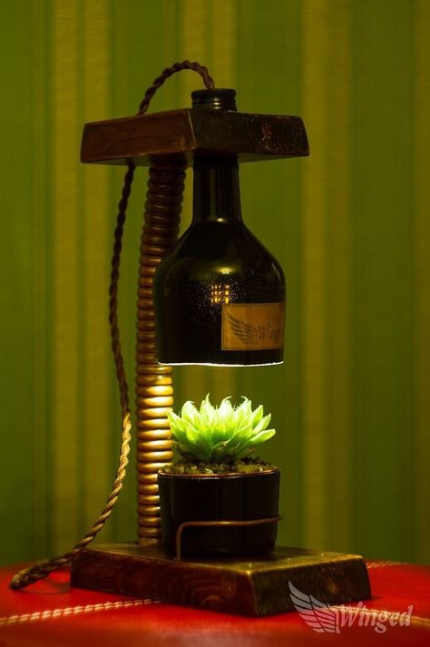 Induatrial Lamps, Fun Lamps Bedroom, Bottle Lamp Ideas, Glass Bottle Lamp, Diy Bottle Lamp, Haworthia Cooperi, Tre Kunst, Koti Diy, Bottle Lamps