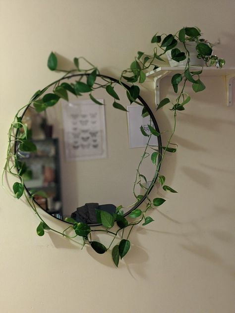 Ivy Mirror Decor, Vine Window Decor, Mirror With Plants Around It On Wall, Plants Around Mirror, Ivy Around Mirror, Plant Mirror Decor, Vines Around Mirror, Mirror With Vines Around It, Ivy Plant Indoor Decor