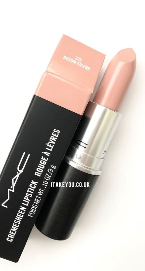 Lipstick Colours, Nude Lip Makeup, Born Leader, Mac Lipstick Shades, Light Lipstick, Girls Lipstick, Lipstick Mac, Lipstick Kit, Mac Matte Lipstick