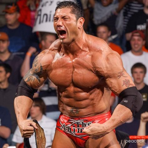 Person Reference, Batista Wwe, Strong Men, Dave Bautista, Wwe Wrestlers, Wwe, Anatomy, Wrestling, Quick Saves