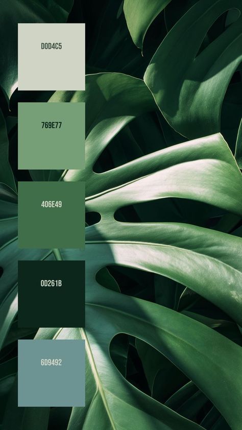 Colors:
D0D4C5 ° 769E77 ° 406E49 ° 0D261B ° 6D9492 Calming Decor, Green Branding, Baby Room Themes, Winter Wedding Colors, Color Collage, Cosmic Art, Nature Color Palette, Paint Swatches, Green Colour Palette