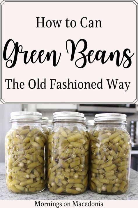 Canned Green Bean Recipes, String Bean Recipes, Canned Beans Recipe, Garden Vegetable Recipes, Canning Beans, Diy Canning, Pressure Canning Recipes, Can Green Beans, How To Store Bread