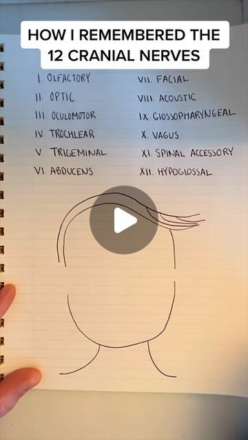 Jessica Reagan on Instagram: "Found this video I used to learn the cranial nerves a few years ago! Hope it helps ❤️ #cranialnerves #nursing #nursingschool #nursingstudent #nursingstudents #lpn #rn" Mnemonic For Cranial Nerves, Cranial Nerves Nursing, The Nursing Process, Cranial Nerves Mnemonic Cheat Sheets, Neuro Nursing Notes, Cranial Nerves How To Remember, Medsurg Nursing Study Guides, Lpn Study Guides, Nursing School Hacks