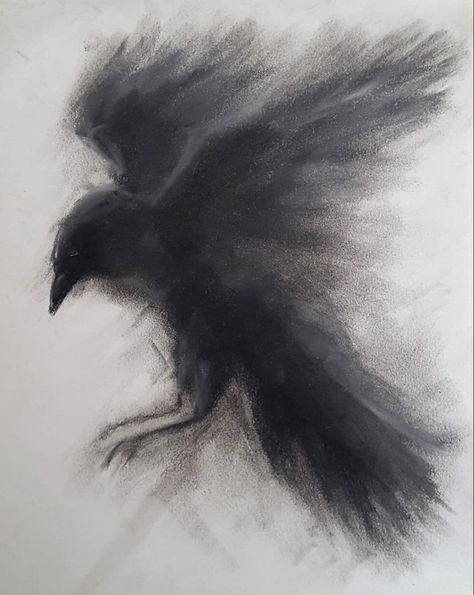 Crows Drawing, Charcoal Artwork, Crow Art, Seni Dan Kraf, Raven Art, Charcoal Sketch, Charcoal Art, Shadow Art, Dark Art Illustrations