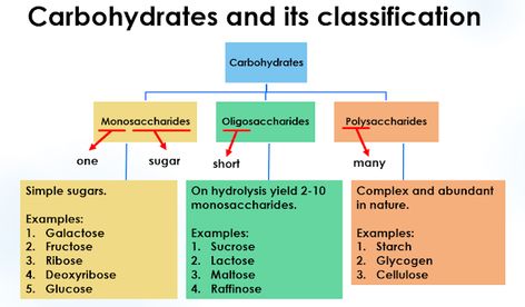 Carbohydrates and its Classification Carbohydrates Definition Carbohydrates word is made up of two words “carbo” meaning “carbon” and “hydrate” meaning “water or H2O”. In short, carbohydrates consist of carbon (C), hydrogen (H), and oxygen (O) elements in a 1:2:1 ratio with the general formula of Cx(H2O)y. In the formula, x can be a whole number from three to many thousands, while Y can be the same whole number as X e.g., glucose molecule (C6H12O6) or it may be a different whole number as in suc Classification Of Carbohydrates, Carbohydrates Classification, Glucose Molecule, Chemical Kinetics, Biology Projects, Mid Term, Chemical Energy, Dna Molecule, Biology Facts