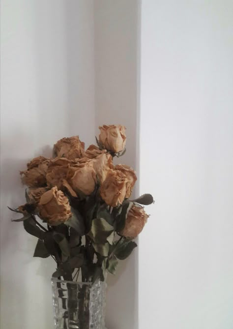 Dried Rose Arrangements, Fake Flowers Aesthetic, Dried Rose Aesthetic, Brown Roses Aesthetic, Dried Roses Aesthetic, Aesthetic Dried Flowers, Dried Flowers Aesthetic, Dusty Pink Bedroom, Rose Pic