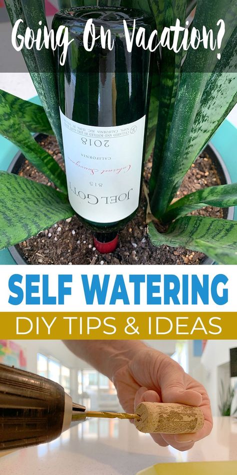 Here are some great DIY self watering ideas for your planters, your garden, or your house plants, so no matter how much fun you have on vacation, you don’t come back to a plant funeral! Self Watering Bottle, Diy Self Watering, Diy Self Watering Planter, Plant Waterer, Bottle Plant, Self Watering Containers, Self Watering Plants, Plants In Bottles, Growing Gardens