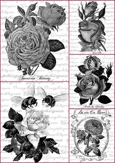 Roses in Black and Withe Free Printable Labels. Red Ephemera Free Printables, Journal Printables Black And White, Black And White Ephemera Free Printables, Journal Printables Free, Scrapbook Printables Free, Black And White Roses, Victorian Illustration, Card Making Designs, Free In French