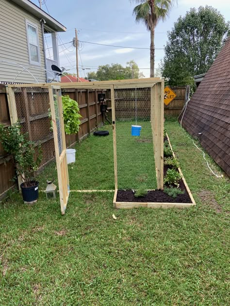 Fence Around Chicken Coop, Chicken Enclosure Ideas, Coop Roost Ideas, Chicken Coop Roost Ideas, Chicken Coop Roost, Chicken Roosting Bars, Chicken Roosts, Chicken Roost Ideas, Small Coop