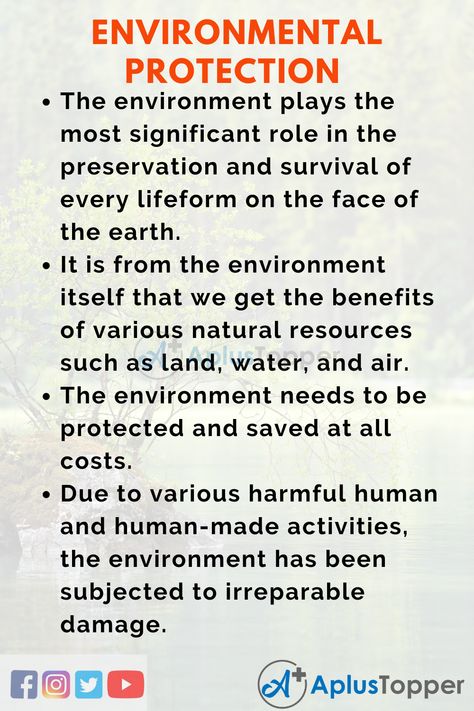 Environmental Protection Essay | Essay on Save Environment for Students and Children in English - A Plus Topper Environment Essay, Ielts Essay, English Conversation For Kids, Essay Writing Examples, English Essay, Save Environment, Physics Notes, Essay Tips, School Essay