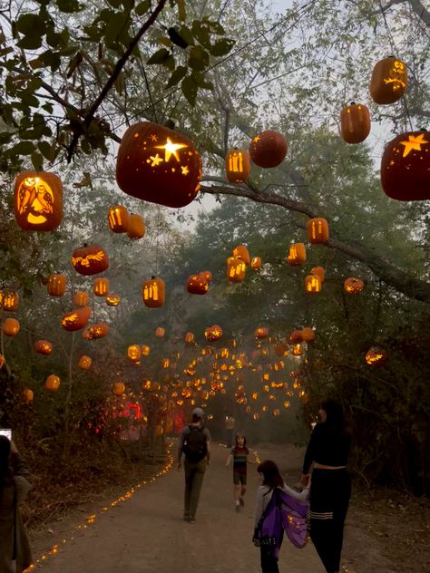 The Sky, Halloween Decorations, Lanterns, Trees, Halloween