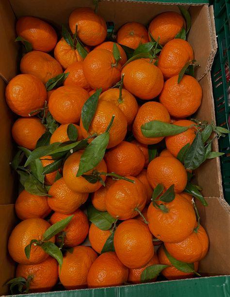 Market tangerines aesthetic Fruit Store, Food Therapy, Yummy Comfort Food, Italy Aesthetic, Home Garden Design, Fruit Drinks, Orange Blossom, Pretty Jewellery, Food Storage