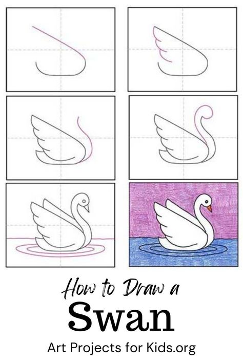 Draw A Swan, Trin For Trin Tegning, Swan Drawing, Swans Art, Drawing Lessons For Kids, Easy Drawings For Kids, Basic Drawing, Drawing Projects, Art Drawings For Kids