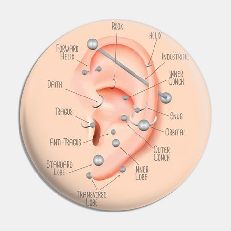 A complete and comprehensive infographic chart on various ear piercings, their name and where they are. -- Choose from our vast selection of pins to match with your desired size to make the perfect custom pin. Pick your favorite: Movies, TV Shows, Art, and so much more! Available in small and large. Perfect to wear or to decorate your bag or backpack with. Ear Piercing Ideas Chart, Ear Piercings Placement Chart, Ear Piercing Names, Getting Your Ears Pierced, Infographic Chart, Different Ear Piercings, Men's Piercings, Ear Piercings Chart, Piercing Chart