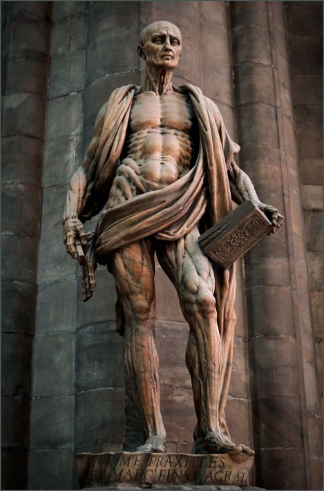 Marco d'Agrate, "San Bartolomé desollado". Escultura de mármol. Duomo de Milán. Saint Bartholomew, St Bartholomew, San Bartolome, Strange Magic, Milan Cathedral, Rome Antique, Patron Saints, Archaeology, Sculptor