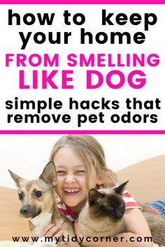 Carpet Painting, Pet Urine Smell, Dog Pee Smell, Dog Odor Eliminator, Pet Odor Remover, Pee Smell, Pet Odor Eliminator, Dog Remedies, Pet Smell