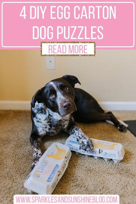 Diy Food Puzzles For Dogs, Treat Puzzles For Dogs, Dog Nose Games, Diy Dog Intelligence Toys, Dog Maze Diy, At Home Dog Enrichment, Stimulating Dog Activities Diy, Homemade Dog Brain Games, Dog Kennel Activities