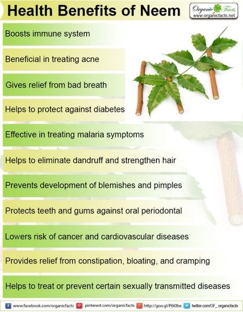 Neem Benefits, Organ Health, Benefits Of Neem, Treat Dandruff, Neem Powder, Dry Skin Remedies, Oil Production, Herbs For Health, Tea Benefits