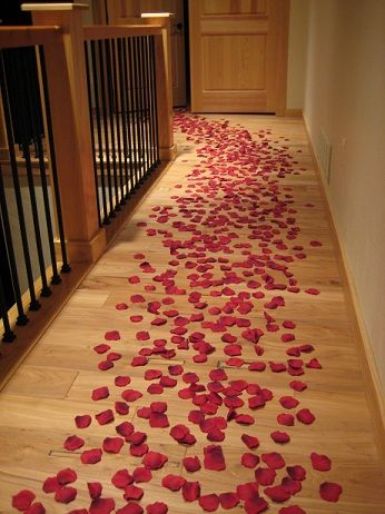 freeze dried rose petals to make beautiful aisles at your wedding Rose Petals And Candles, Candlelit Room, Rose Petal Candle, Wedding Aisles, Pay Check, Silk Rose Petals, Realistic Rose, Romantic Ideas, Red Rose Petals