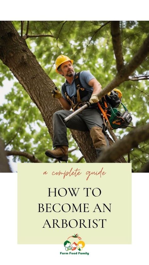 How to Become an Arborist: Your Guide to a Career in Tree Care 4 Arborist Climbing Trees, Arborist Gear, Arborist Climbing, Tree Arborist, Urban Forestry, Grid Ideas, About Trees, Tree Surgeons, Sustainable Landscaping