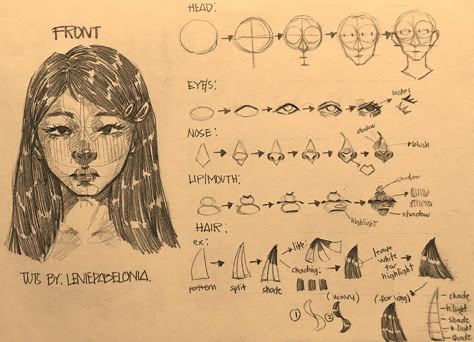 Learn to draw this kind of artstyle (semi-realism) in Front View! originated artstyle by yours truly (Lenie Pabelonia). Learning To Draw People, How To Draw Realism Step By Step, Realism Art Tips, Front View Anatomy, Throwing Up Drawing, How To Draw Semi Realism, Realism Tips, How To Draw Realism, How To Draw Freckles