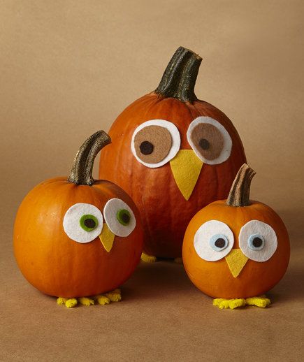 Owls | Not every pumpkin needs to be a jack o’ lantern. Use the season’s best bounty of gourds to decorate your table and wow your dinner guests. Pumpkins Drawing, Pumpkins Designs, Pumpkins Illustration, Easy Pumpkin Decorating, Pumpkins Ideas, Pumpkins Diy, Owl Halloween, Casa Halloween, Creative Pumpkins