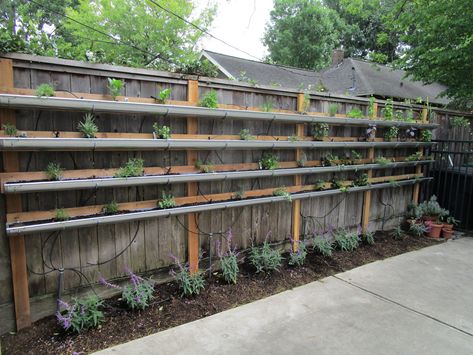 Vertical Veggie Garden Wall, Veggie Garden Fence Ideas, Food Growing Fence, Vertical Fence Garden, Vertical Garden Fence, Vertical Garden On Fence, Strawberry Fence, Fence Vertical Garden, Permaculture Allotment