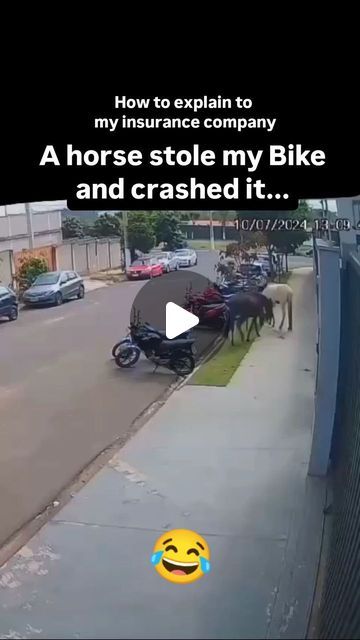 Horse Memes Funny Hilarious, Horse Driving, Motorcycle Humor, Funny Horse Videos, Horse Jokes, Funny Horse Pictures, How To Explain, Funny Horses, Horse Videos