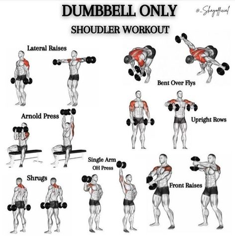 Dumbbell Workout Plan, Workout Chest, Chest Workout Routine, Dumbbell Workouts, Workout Gym Routine, Full Body Dumbbell Workout, Workout Program Gym, Dumbell Workout, Bodybuilding Workout Plan