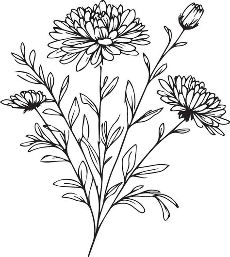 Aster Doodle, Flower Cluster Drawing, Aster Flower Drawing, Cluster Drawing, Aster Flower Tattoos, Aster Flowers, Pyrography Ideas, Flowers Coloring Pages, Flowers Sketch