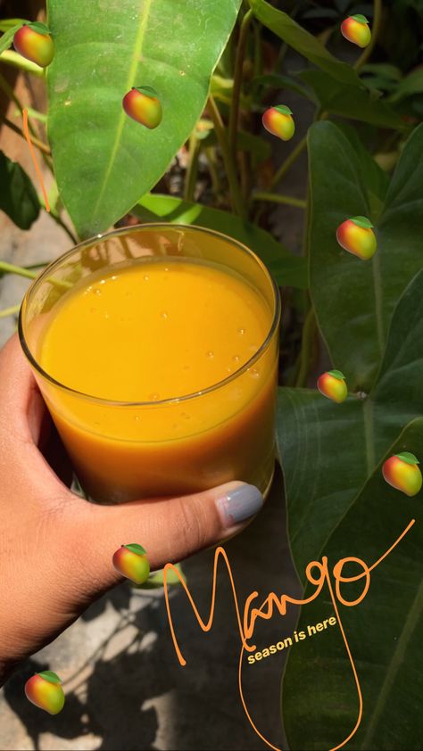 Mangoes Snapchat Story, Mango Snap Streak, Summer Season Quotes, Mango Juice Snapchat Story, Mango Captions Instagram, Mango Shake Snapchat Story, Mango Instagram Story, Mango Snapchat, Mango Captions