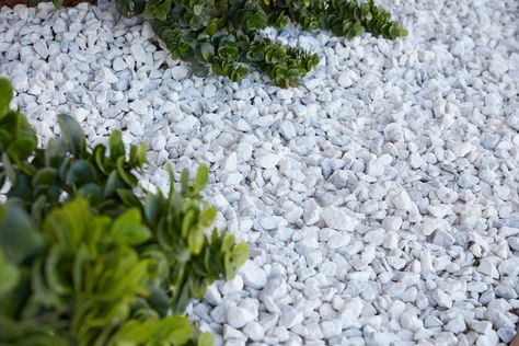 GardenTime white marble deco rocks are naturally white in color and are ideal for landscaping around trees, shrubs, flowerbeds, potted containers, ponds and water features. White marble deco rock provides a superior layer of insulation, protecting plants from extreme temperatures and moisture evaporation. Garden Time 0.5-cu ft 45-lb White Marble Chips | GT 06033 White Rock Flower Beds, White Marble Rock Landscaping, Rock Flower Beds, Landscaping Rock, Landscaping Around Trees, Marble Rock, Stone Landscaping, Garden Stepping Stones, Garden Pool