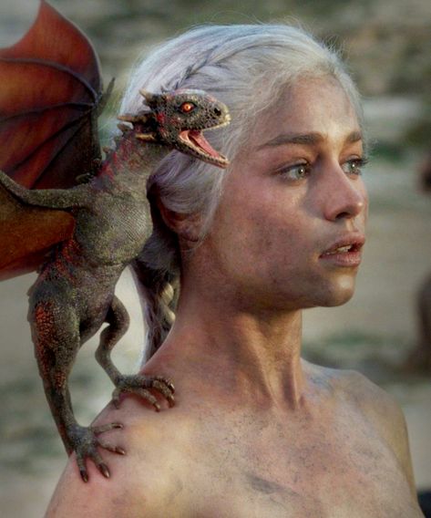 Remember The Baby Dragon From Game Of Thrones? He’s Hot Now+#refinery29 The Mother Of Dragons, Game Of Thrones Facts, Game Of Thrones Poster, Ned Stark, 7th Dragon, Game Of Throne Daenerys, Margaery Tyrell, Game Of Thrones Dragons, Got Dragons