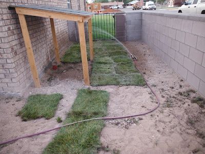 Dog shade, but better ground for resting and add misting system. Dog Shade Diy, Dog Pergola Diy, Shaded Area For Dogs, Lean To For Dogs, Covered Area For Dogs To Potty, Covered Dog Potty Area, Rain Shelter For Dogs, Diy Dog Shade Outdoors, Dog Lean To Shelter