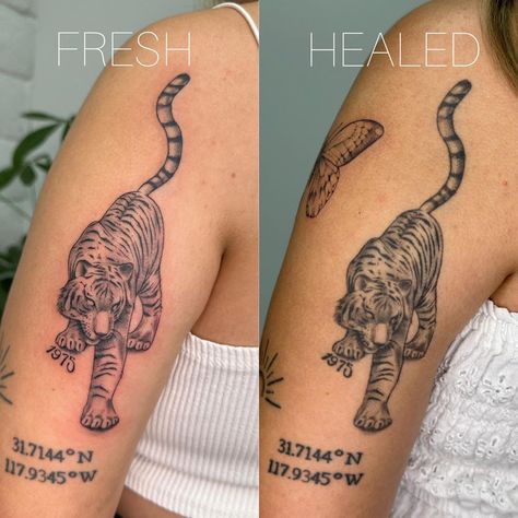 Healed Tattoos Vs Fresh, Martinez Tattoo, Come Back To Me, Fresh Tattoo, Healing Tattoo, So Thankful, Tattoo Artist, Come Back, So Happy