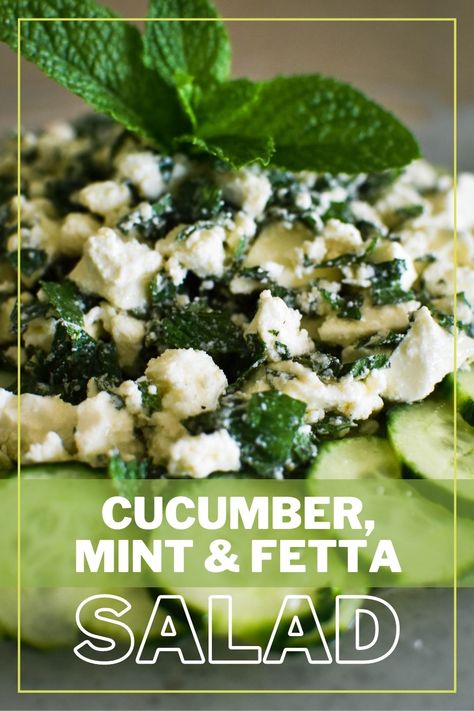 Mint Pasta Salad, Cucumber And Mint Salad, Mint Herb Recipes, Recipes With Mint, Chef Salads, Salad Mint, Cucumber Mint Salad, Mint Salad Recipes, Delicious Salad Recipes