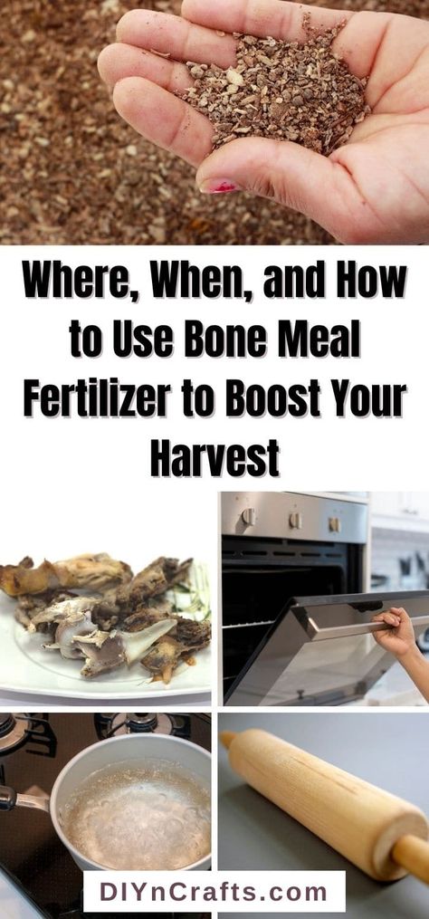 Bone Meal For Plants, Home Made Fertilizer, Beef Marrow Bones, Diy Fertilizer, How To Make Fish, Planting Potatoes, Instant Tea, Beef Bones, Fertilizer For Plants