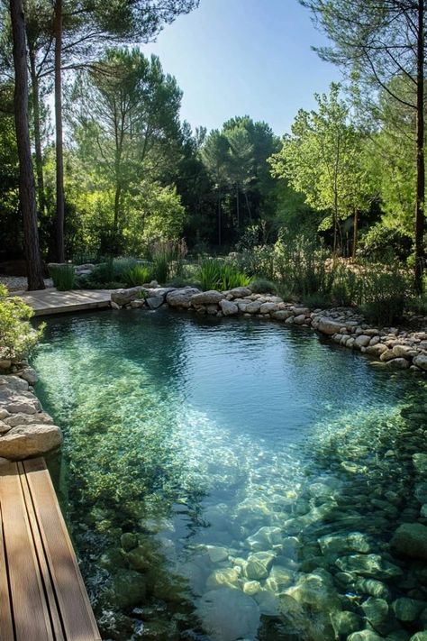 Create a natural swimming pool that blends with your landscape. Discover the benefits of eco-friendly pools that use plants and natural filtration systems. 🏊‍♂️🌱 #NaturalSwimmingPool #EcoFriendlyLiving #SustainableDesign Swimming Pool Pond, Living Pool, Natural Swimming Ponds, Dream Life House, Swimming Pond, Natural Pond, Natural Swimming Pools, Piscina Natural, Natural Swimming Pool