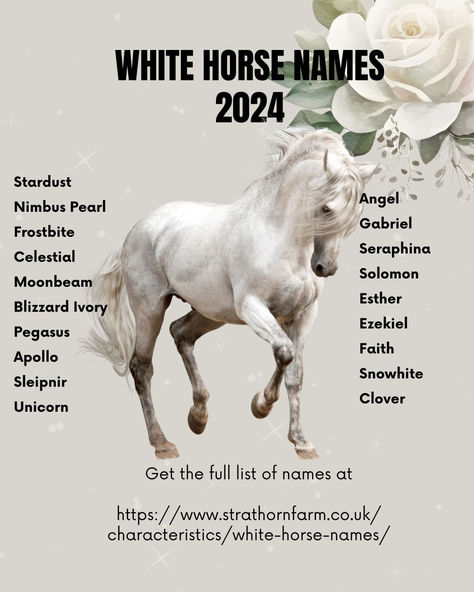 Name your white horse! Check our blog for more ideas #whitehorse Cute Horse Names, Names For Horses, Horse Name Ideas, Best Horse Names, Sims Names, Disney Horses, Female Horse, Fire Icons, Horse Facts