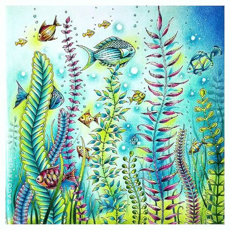 Agota Pop (@agotapop) • Instagram photos and videos Lost Ocean Coloring Book Finished Pages, Johanna Basford Lost Ocean, Johanna Basford Books, Lost Ocean Coloring Book, Ocean Coloring Pages, Joanna Basford Coloring, Bobbie Goods, Joanna Basford, Lost Ocean