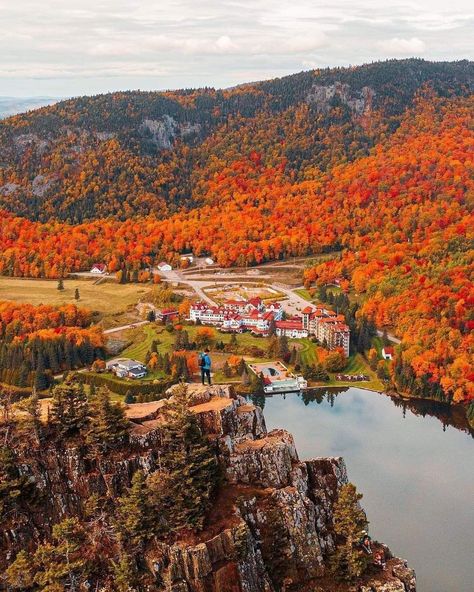 New Hampshire Aesthetic, New England Usa, Dark Naturalism, Fall Tones, Leaf Peeping, Table Rock, Autumn Scenery, Outside World, Fall Pictures