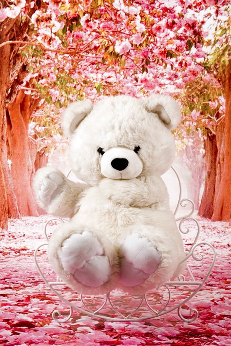 टेडी बियर, Teddy Bear Images, Teddy Bear Wallpaper, Bear Images, Free Backgrounds, Pink Wallpaper Backgrounds, Teddy Bear Pictures, Pink Bear, Pink Teddy Bear