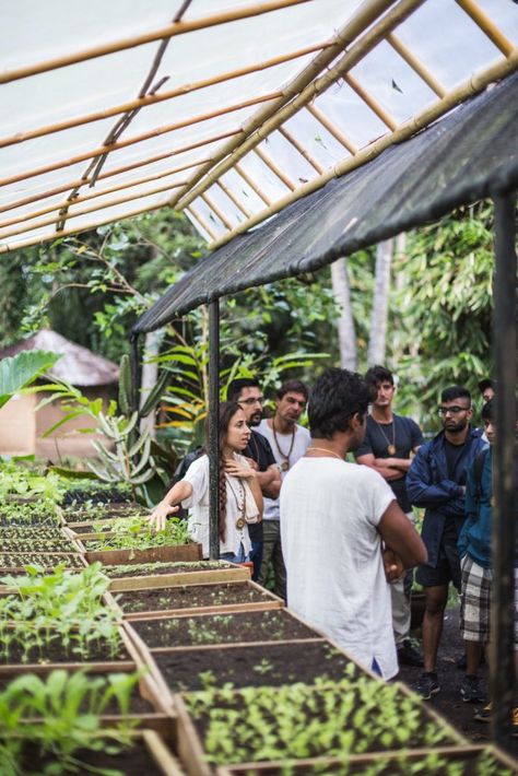 Desert Farm, Farm Experience, Green Roof Project, Farm Tourism, Agritourism Farms, Farm To Table Restaurant, School Farm, Permaculture Farm, Hotel Sofa