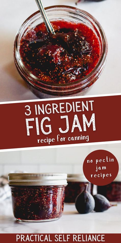 Fig Perserves Recipes, Canning Fruit Recipes, Fig Jelly, Fig Preserves Recipe, Homemade Fig Jam, Refrigerator Jam, Canning Jam Recipes, Fig Jam Recipe, Jam Recipes Homemade