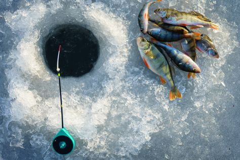 6 safety tips every ice angler should practice Ice Fishing Huts, Ice Fishing Gear, Sea Angling, Fishing Basics, Ice Fishing Rods, Catfish Bait, Modern Farmer, Winter Fishing, Walleye Fishing