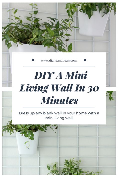 DIY living wall tutorial Diy Living Wall, Living Wall Diy, Wall Plants Indoor, Plant Wall Diy, Living Wall Indoor, Living Wall Planter, Diy Wall Planter, Wall Plant Holder, Indoor Plant Wall