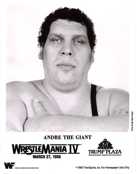 Andre the Giant Showa Retro, Vintage Wrestling, Professional Wrestlers, Andre The Giant, Vince Mcmahon, Wrestling Superstars, Princess Bride, Stunning Photography, Reference Poses