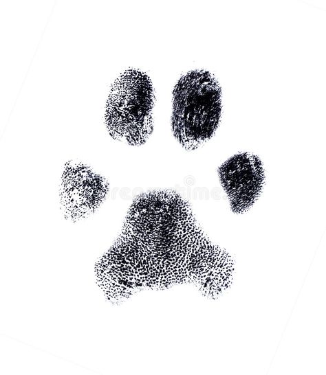 Puppy Wall Art, Dog Print Tattoo, Pawprint Tattoo, Fingerprint Art, Stretched Canvas Wall Art, Dog Wall Art, Dog Tattoos, Cat Supplies, Animal Tattoos